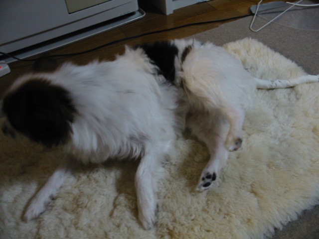 f0122259_0104067.jpg