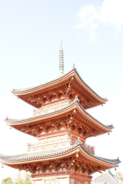a0091666_1728246.jpg