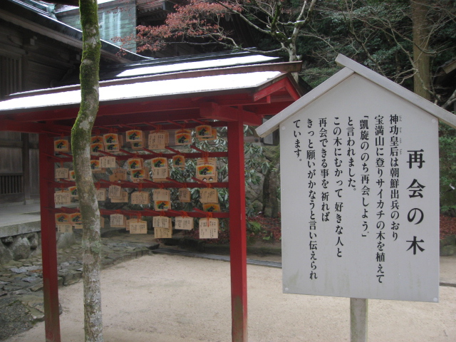 f0016066_1226486.jpg