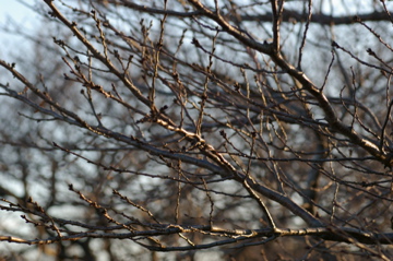 e0095468_2365827.jpg