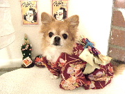 f0052071_3272576.jpg