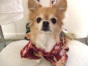 f0052071_3402729.jpg