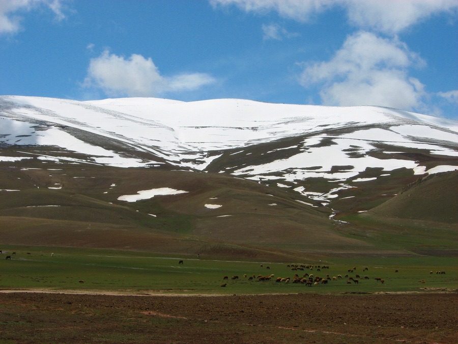 f0118777_1961674.jpg