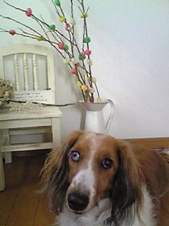 f0124177_0123538.jpg