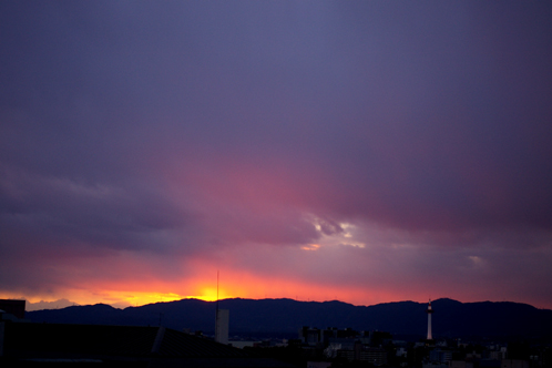 b0080789_0294690.jpg