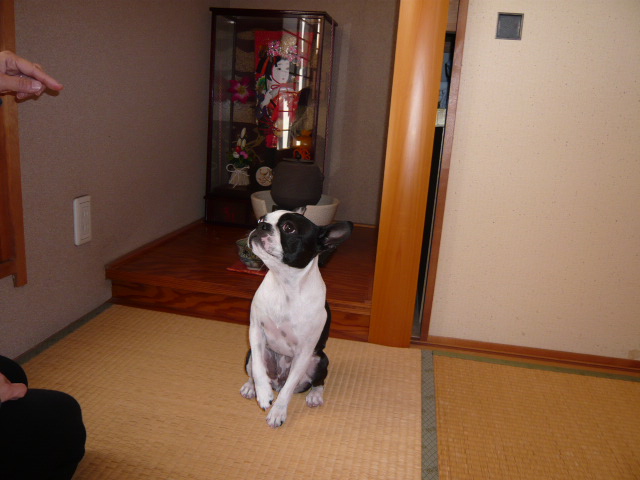 d0087091_19381715.jpg