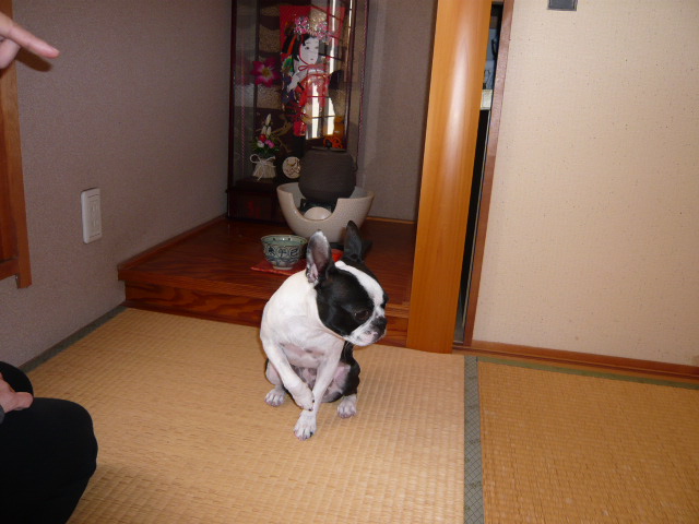 d0087091_1939440.jpg