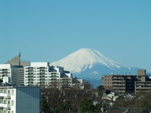b0005596_2026502.jpg