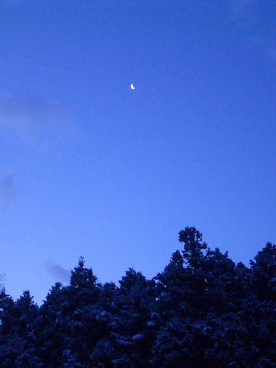 d0069498_14143242.jpg