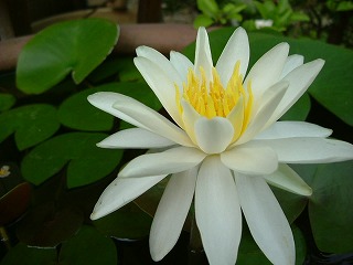 c0125501_20113949.jpg