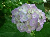 c0125501_20194941.jpg