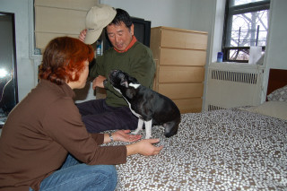 e0039002_14245231.jpg