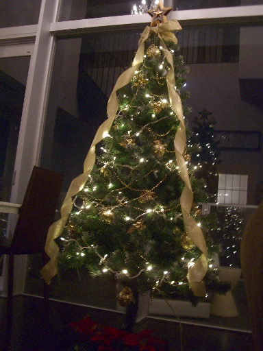 c0110906_13944.jpg