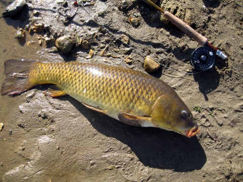 d0051707_14103434.jpg