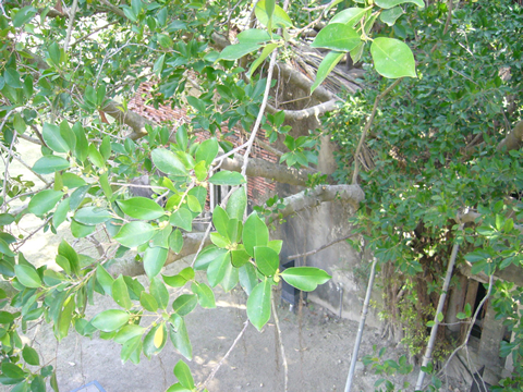 f0033510_0372872.jpg