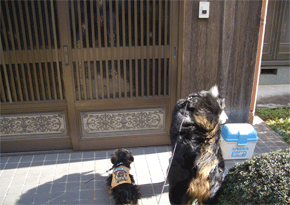 c0143711_180543.gif