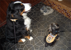 c0143711_1811712.gif