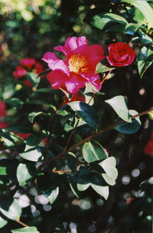 f0121111_2222516.jpg