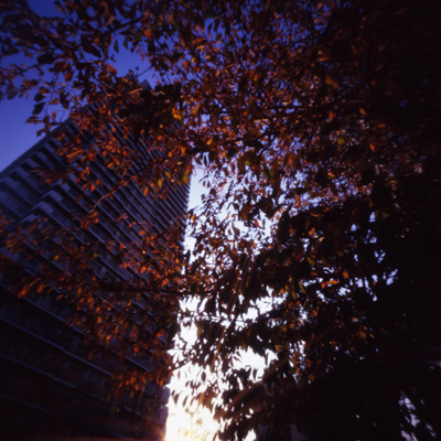 c0016712_23131676.jpg