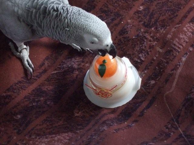 c0133013_151256.jpg