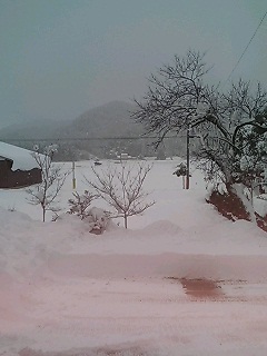 d0076117_0153364.jpg