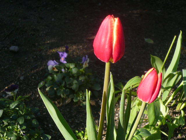 e0026017_14543054.jpg