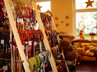 c0153740_3175316.jpg