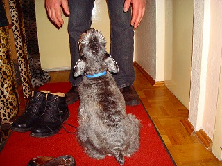 c0153740_332367.jpg