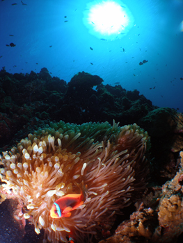 d0065247_21503229.jpg