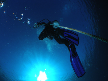 d0065247_21514717.jpg