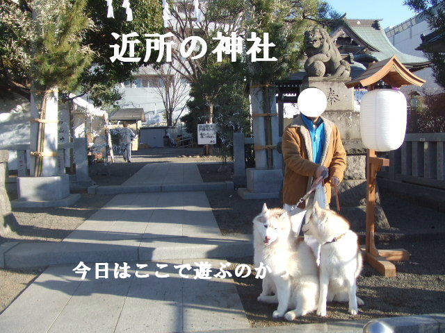 e0121548_11171949.jpg