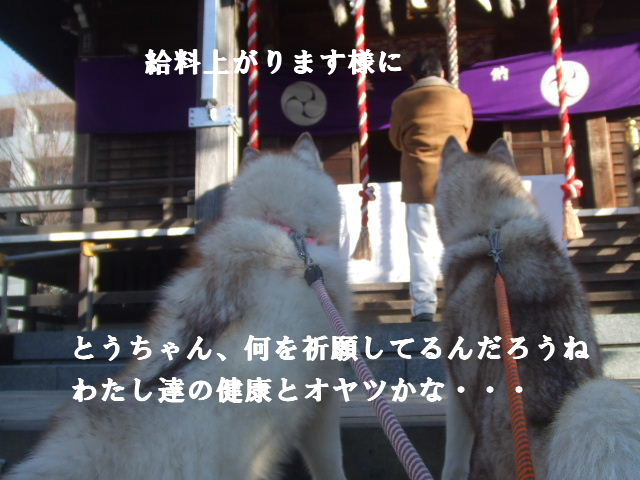 e0121548_11232823.jpg