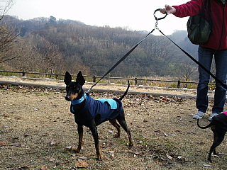 c0123149_1144569.jpg