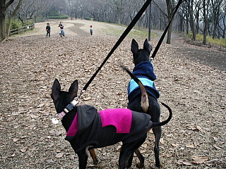 c0123149_1172163.jpg