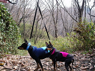 c0123149_1215158.jpg