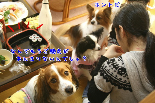 d0013149_2335610.jpg