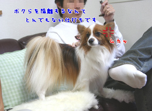 d0013149_2337403.jpg
