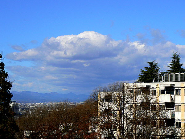 d0091754_18273442.jpg