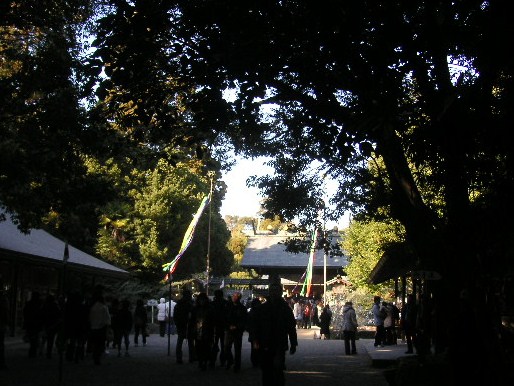 f0082855_23343730.jpg
