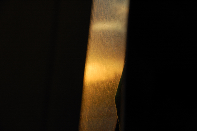 b0030558_20313847.jpg