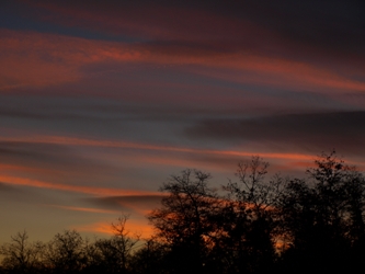 c0102268_2329514.jpg