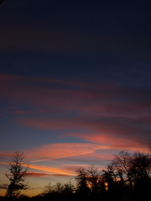 c0102268_23295936.jpg