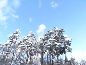 f0016868_10395989.jpg