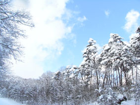 f0016868_10402132.jpg