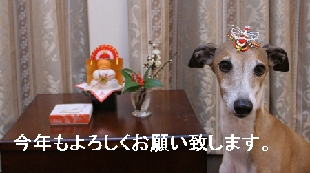 b0069169_1315854.jpg
