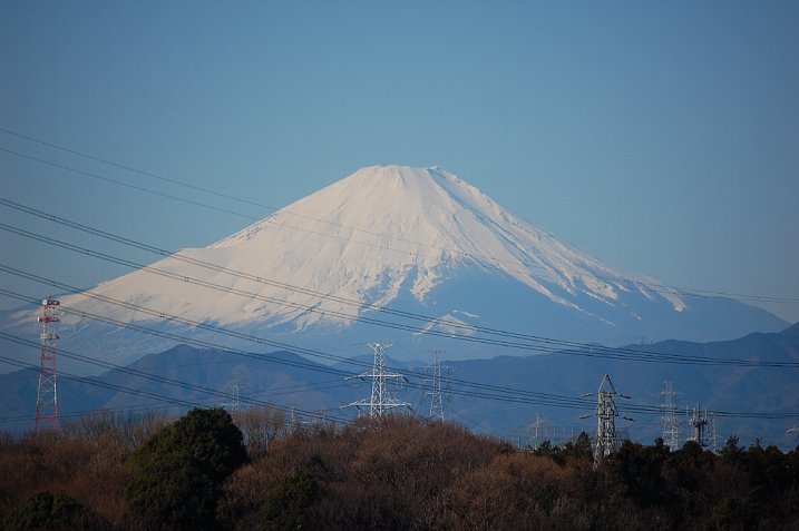 c0087175_933433.jpg