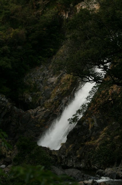 d0079278_171301.jpg