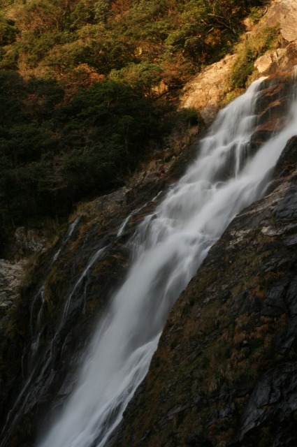 d0079278_1715091.jpg