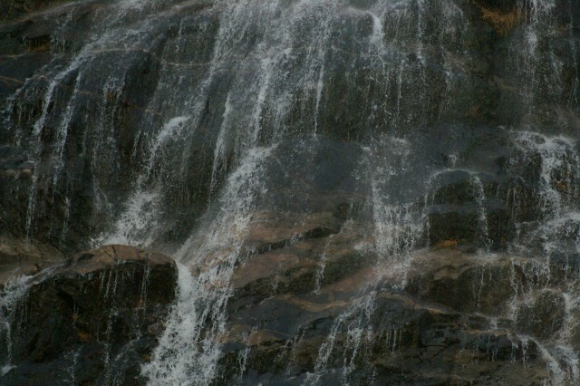 d0079278_1717194.jpg