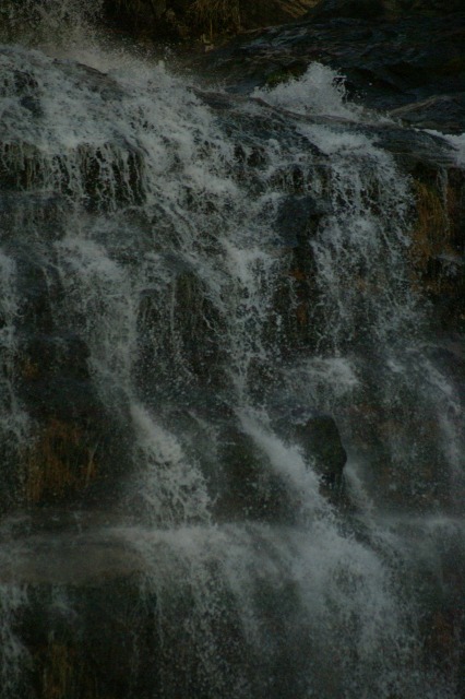 d0079278_1717426.jpg